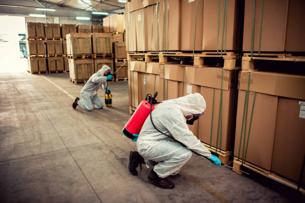 Professional Pest Control in Pottsville, AR