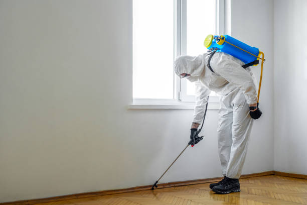 Best Best Pest Control Companies  in Pottsville, AR