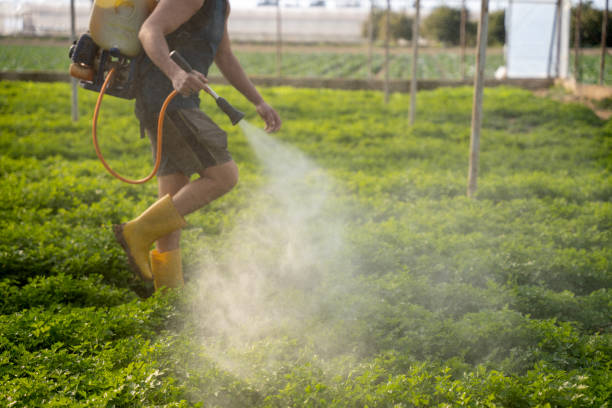 Best Pest Control Near Me  in Pottsville, AR