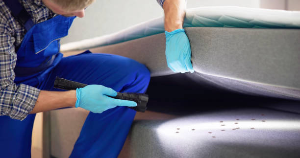 Best Pest Inspection Near Me  in Pottsville, AR