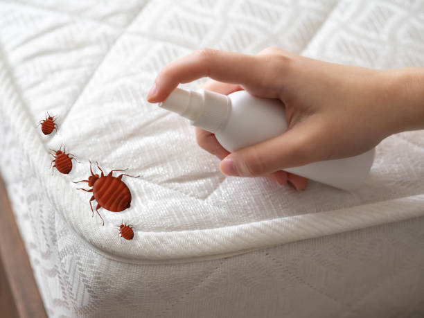 Best Best Pest Control Near Me  in Pottsville, AR