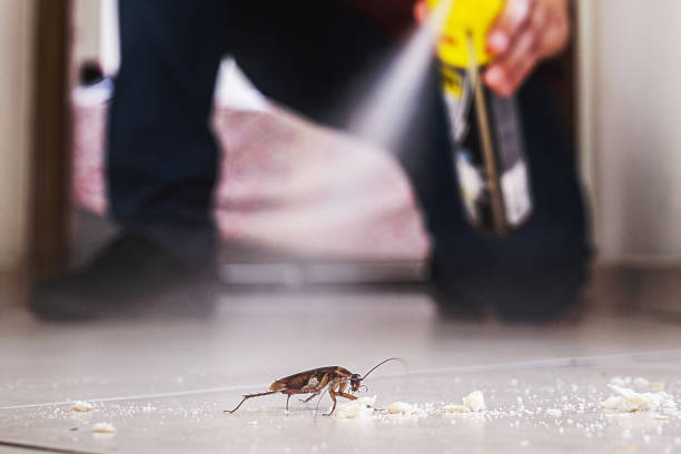 Best Pest Control Cost  in Pottsville, AR