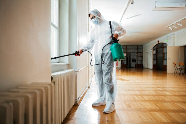  Pottsville, AR Pest Control Pros
