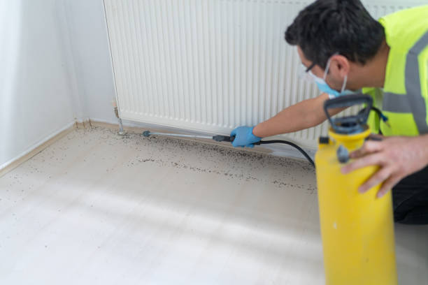 Best Emergency Pest Control  in Pottsville, AR
