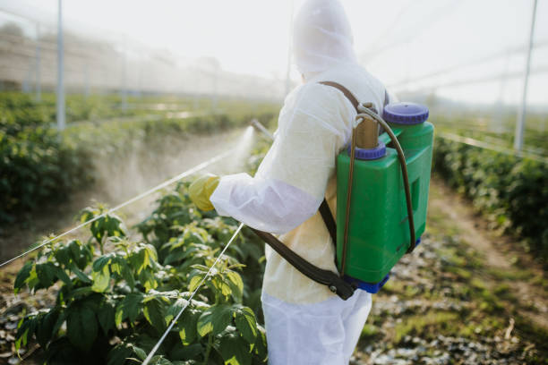 Best Ant Control Services  in Pottsville, AR